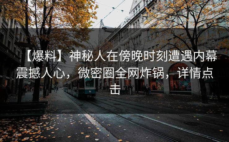 【爆料】神秘人在傍晚时刻遭遇内幕震撼人心，微密圈全网炸锅，详情点击