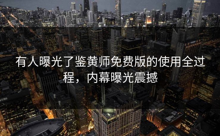 有人曝光了鉴黄师免费版的使用全过程，内幕曝光震撼