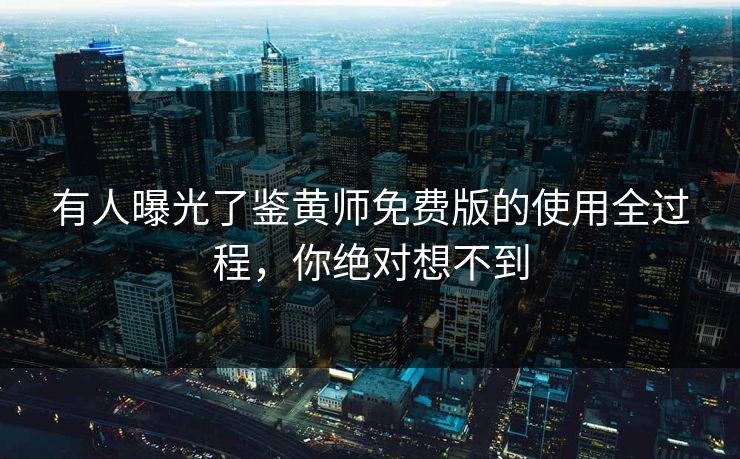 有人曝光了鉴黄师免费版的使用全过程，你绝对想不到