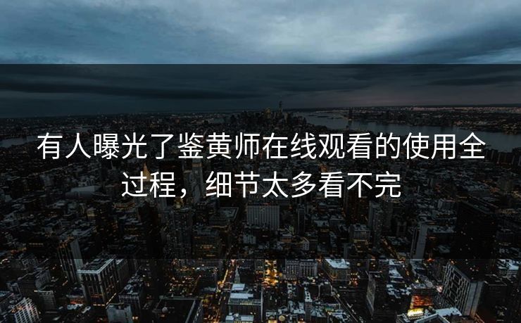 有人曝光了鉴黄师在线观看的使用全过程，细节太多看不完