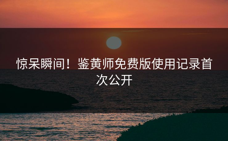 惊呆瞬间！鉴黄师免费版使用记录首次公开