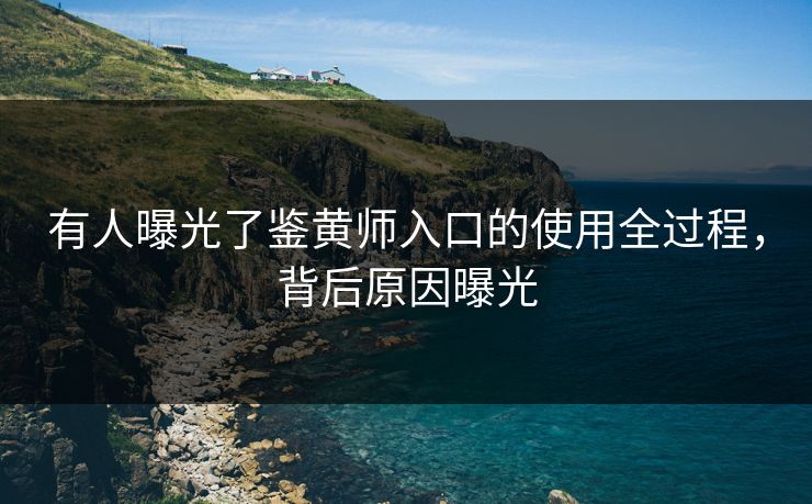 有人曝光了鉴黄师入口的使用全过程，背后原因曝光