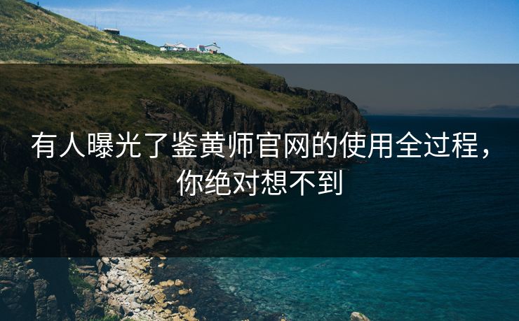 有人曝光了鉴黄师官网的使用全过程，你绝对想不到