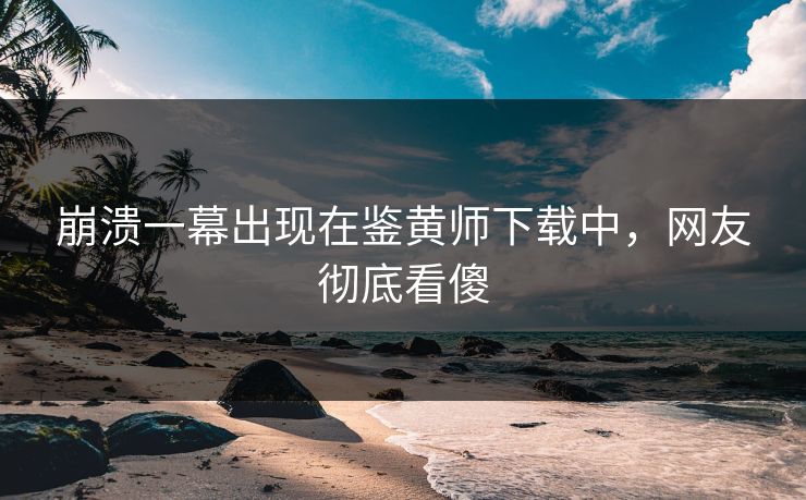 崩溃一幕出现在鉴黄师下载中，网友彻底看傻