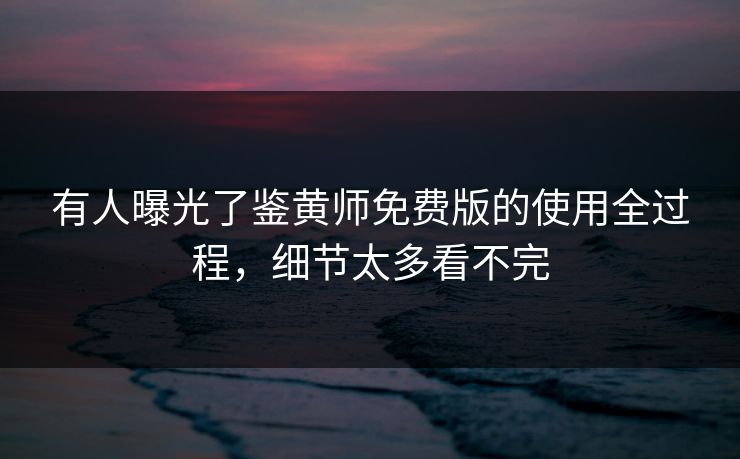有人曝光了鉴黄师免费版的使用全过程，细节太多看不完