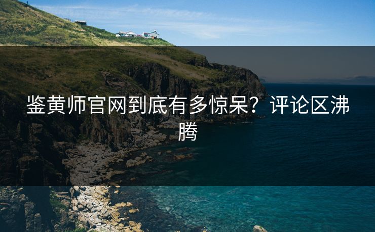 鉴黄师官网到底有多惊呆？评论区沸腾