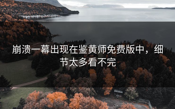 崩溃一幕出现在鉴黄师免费版中，细节太多看不完