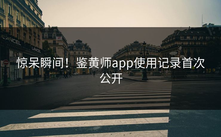 惊呆瞬间！鉴黄师app使用记录首次公开