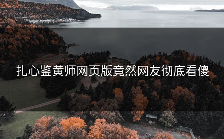 扎心鉴黄师网页版竟然网友彻底看傻