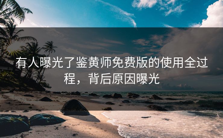 有人曝光了鉴黄师免费版的使用全过程，背后原因曝光
