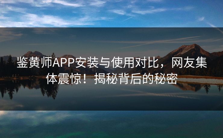 鉴黄师APP安装与使用对比，网友集体震惊！揭秘背后的秘密