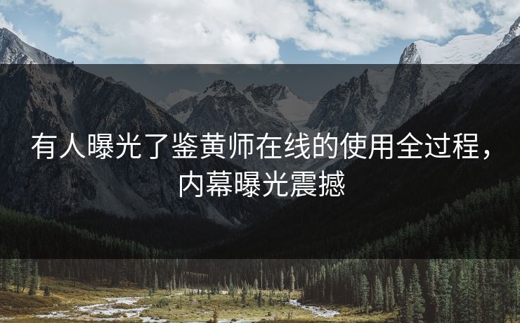 有人曝光了鉴黄师在线的使用全过程，内幕曝光震撼