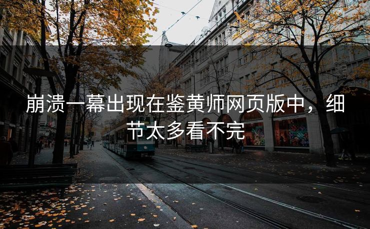 崩溃一幕出现在鉴黄师网页版中，细节太多看不完