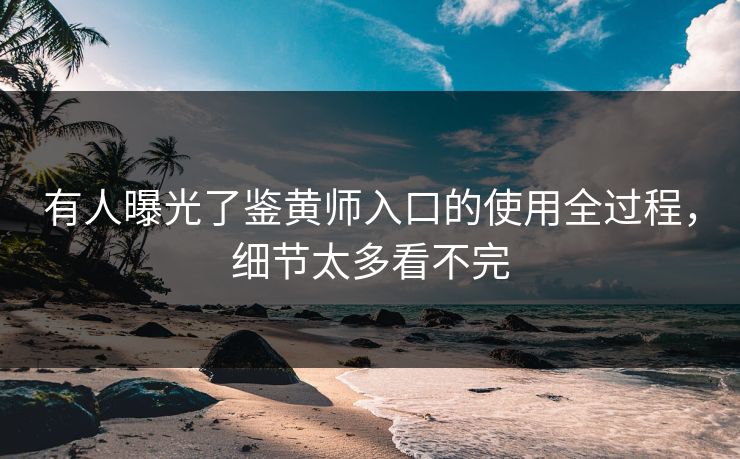 有人曝光了鉴黄师入口的使用全过程，细节太多看不完