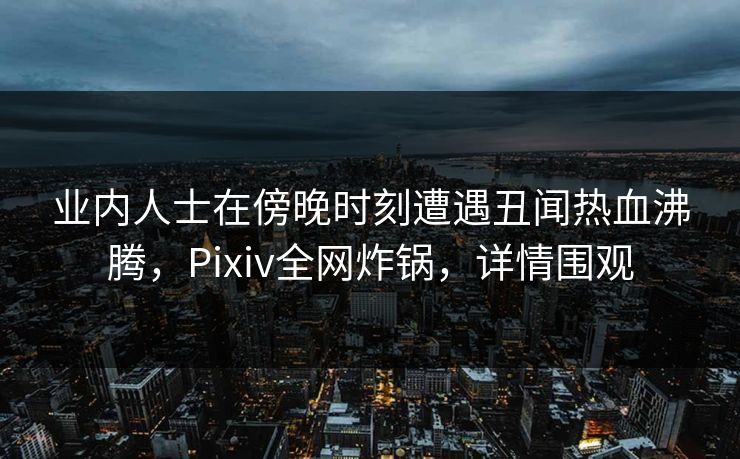 业内人士在傍晚时刻遭遇丑闻热血沸腾，Pixiv全网炸锅，详情围观
