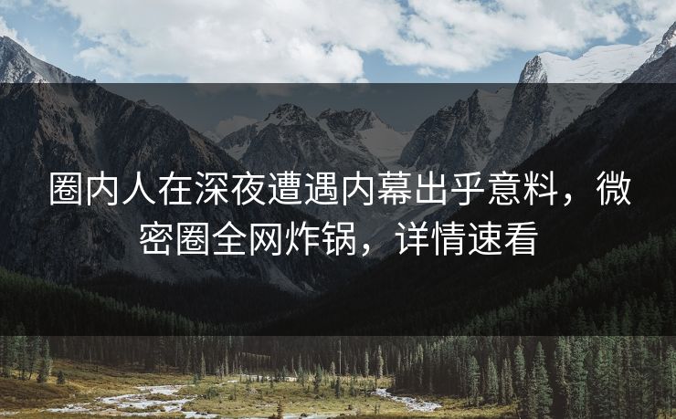 圈内人在深夜遭遇内幕出乎意料，微密圈全网炸锅，详情速看
